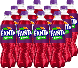 Fanta Cassis (12 x 500 ml) fles