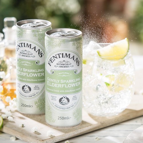 Fentimans Gently Sparkling Elderflower (12 x 250 ml)-3