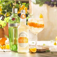 Fentimans Valencian Orange Tonic Water (24 x 150 ml)-3