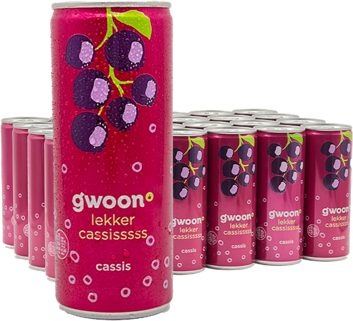 Gwoon Cassis (24 x 250 ml)