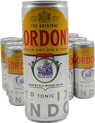 Gordon's Gin & Tonic (12 x 250 ml)