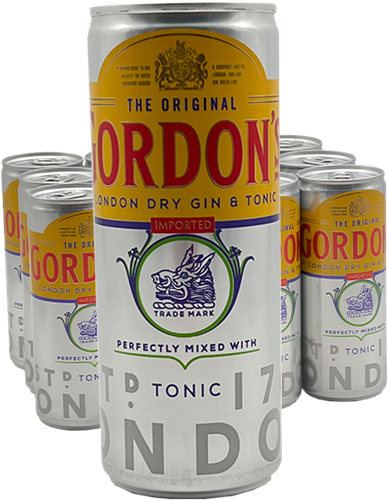 Gordon's Gin & Tonic (12 x 250 ml)